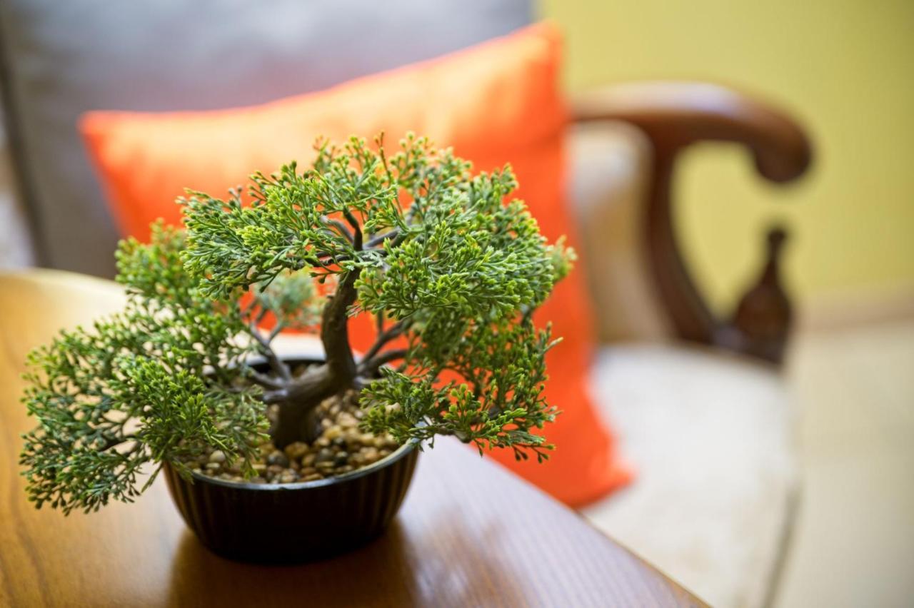 Medison Family Boutique B&B Kielce Dış mekan fotoğraf